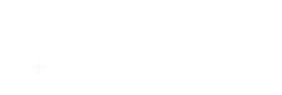 Niagara University Logo