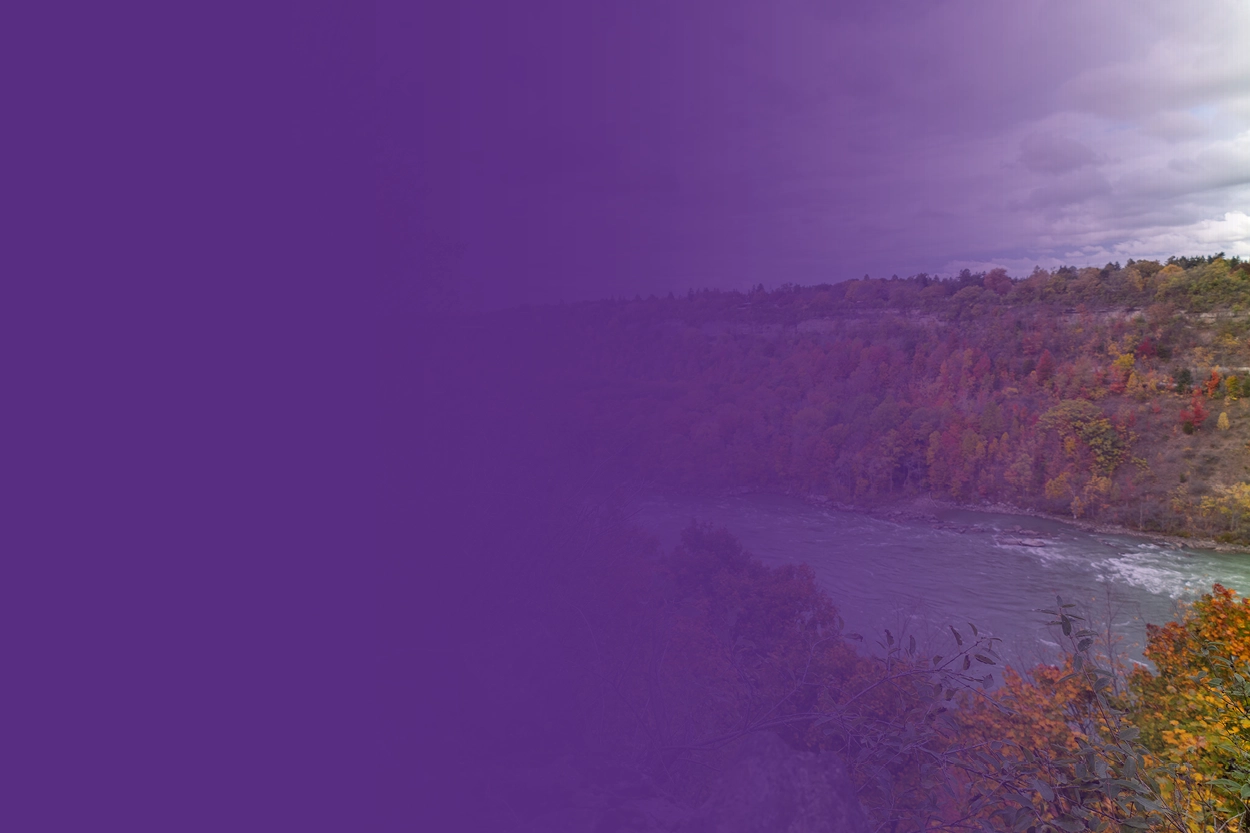 The niagara river lined with trees with colorful leaves